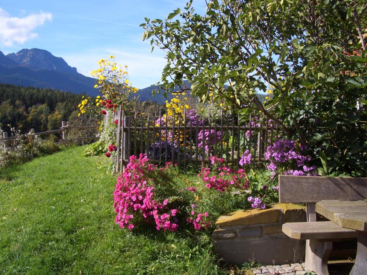 Huberbauernhof Ferienwohnungen 皮丁 外观 照片